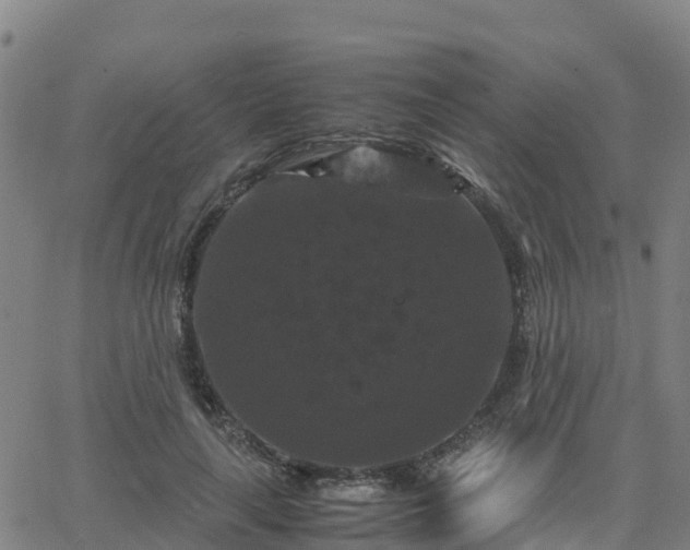 X0000062830643200601201614