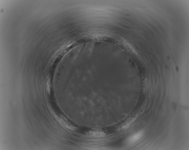 X0000062830644200601201614