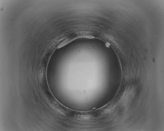 X0000062830645200601201614