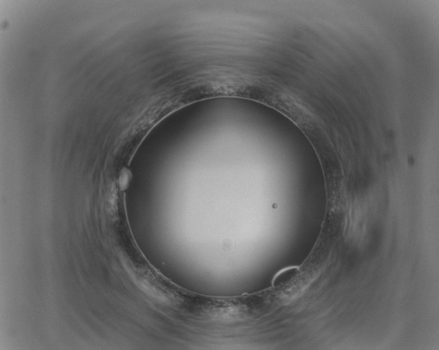 X0000062830646200601201614