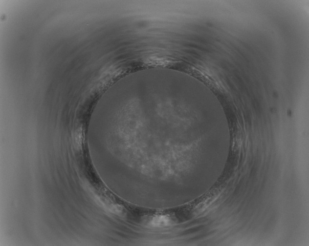 X0000062830647200601201614