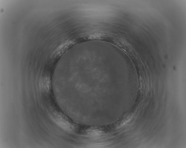 X0000062830648200601201614