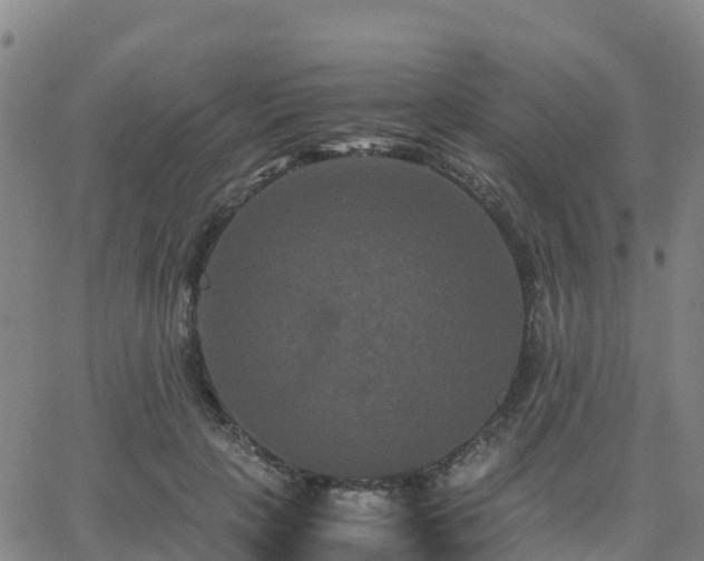 X0000062830649200601201614