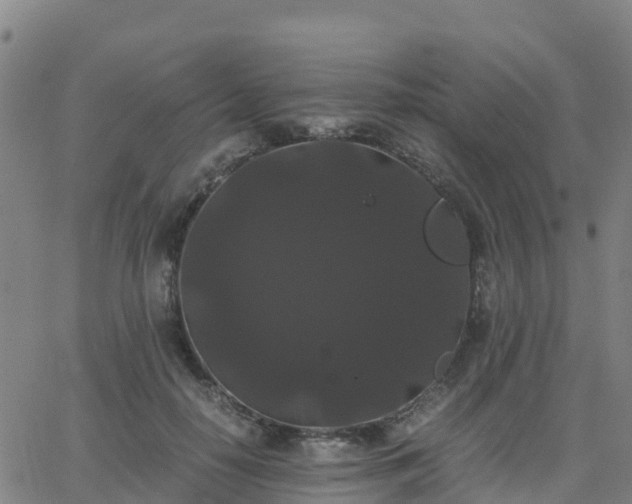 X0000062830650200601201614