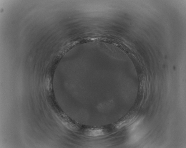 X0000062830651200601201614