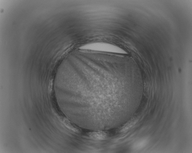 X0000062830652200601201614