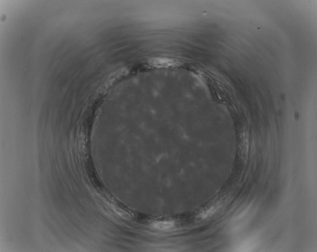 X0000062830653200601201614