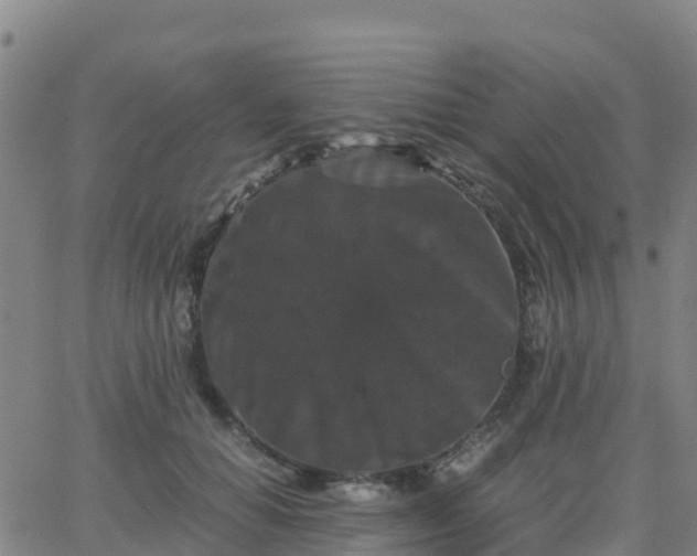 X0000062830654200601201614