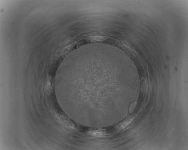 X0000062830655200601201614