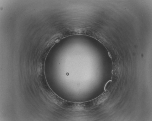 X0000062830656200601201614