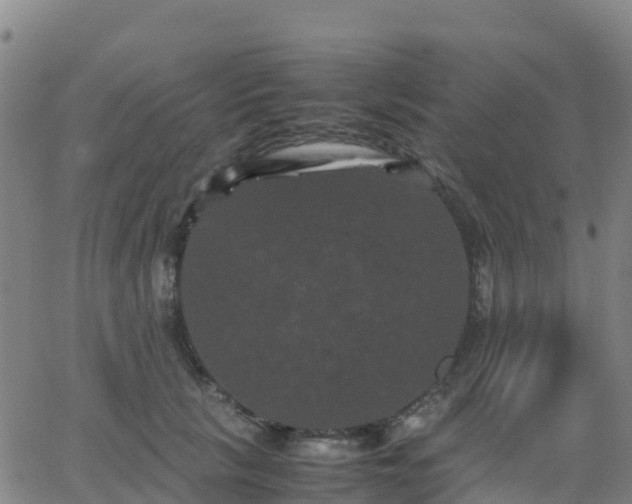 X0000062830657200601201614