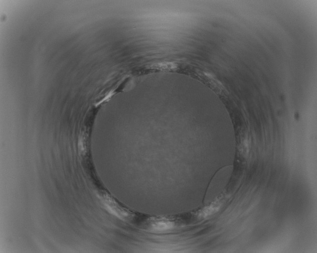 X0000062830658200601201614