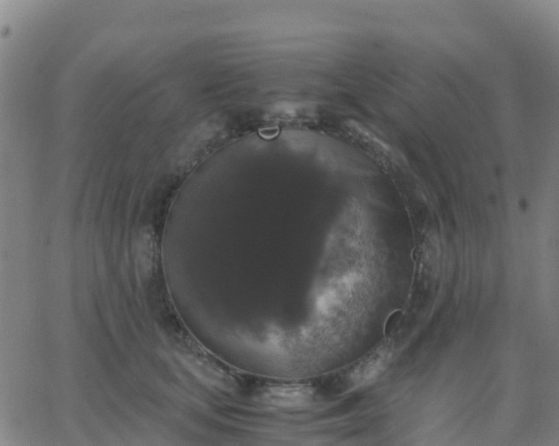 X0000062830659200601201614