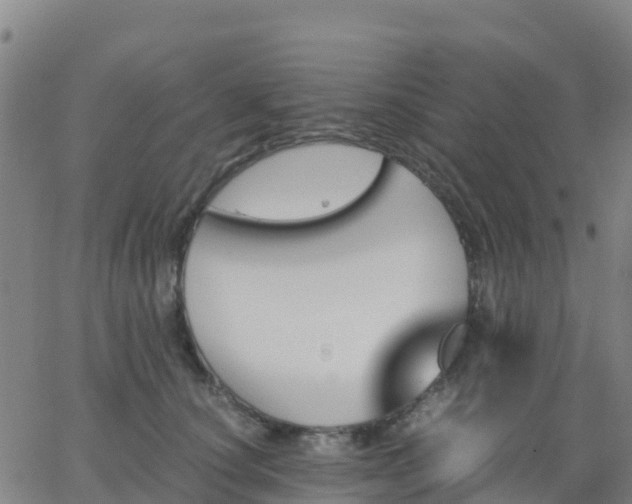 X0000062830660200601201614