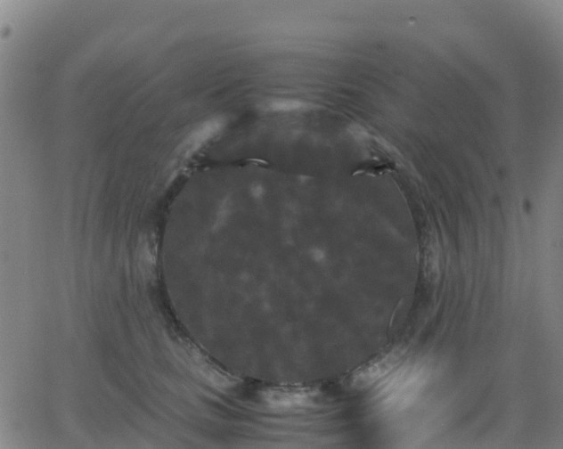 X0000062830661200601201614