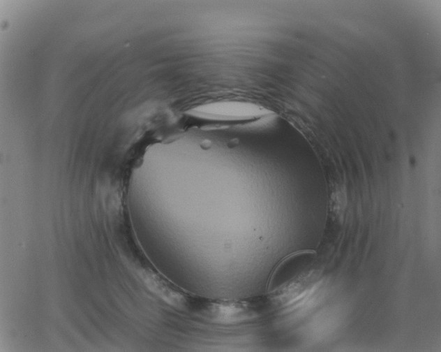 X0000062830662200601201614