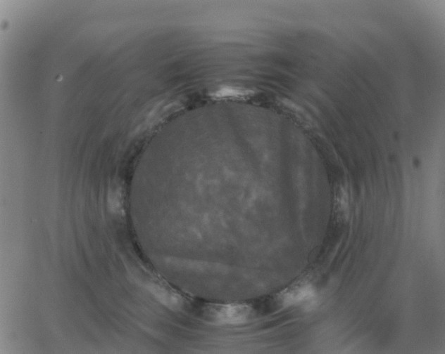 X0000062830663200601201614