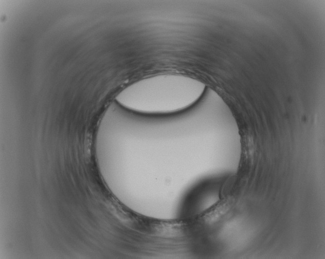 X0000062830664200601201614