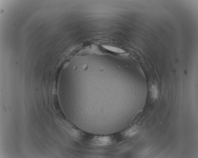 X0000062830665200601201614