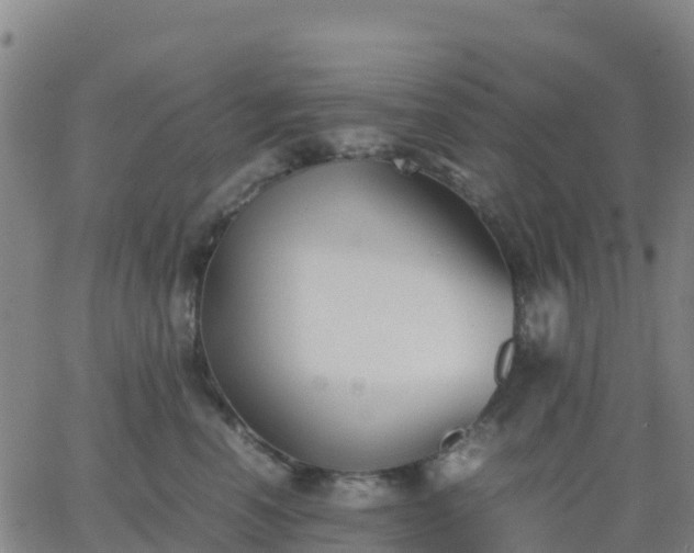 X0000062830666200601201614