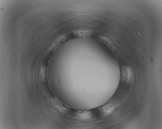 X0000062830667200601201614