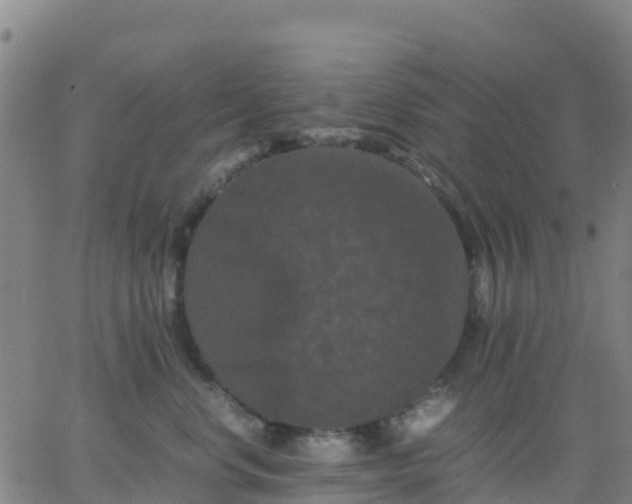 X0000062830668200601201614