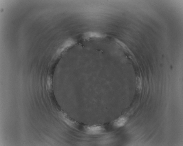 X0000062830669200601201614