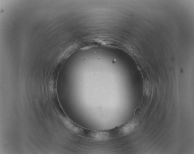 X0000062830670200601201614