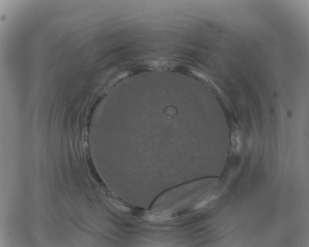 X0000062830671200601201614