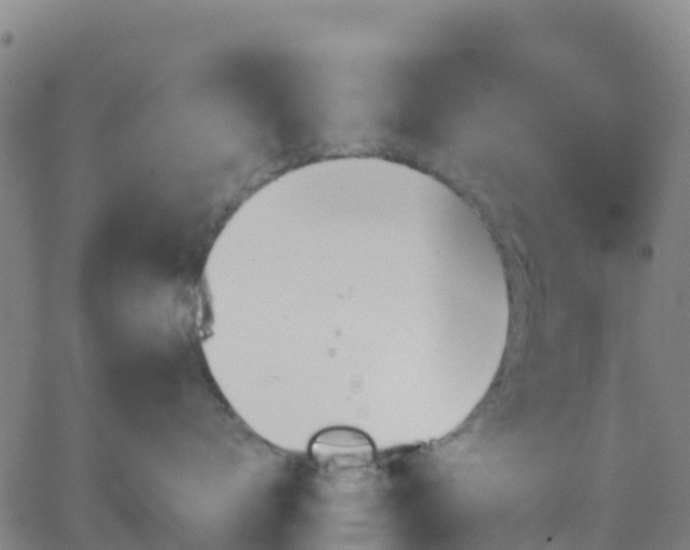 X0000062830672200601201614