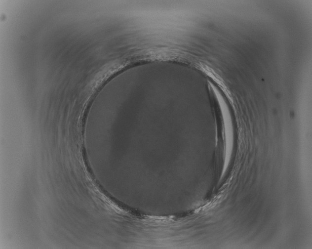 X0000062830673200601201613