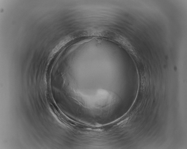 X0000062830674200601201613