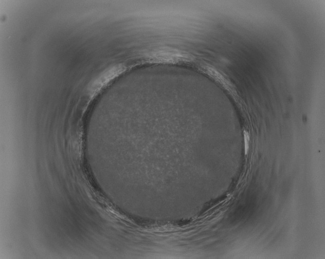 X0000062830675200601201613