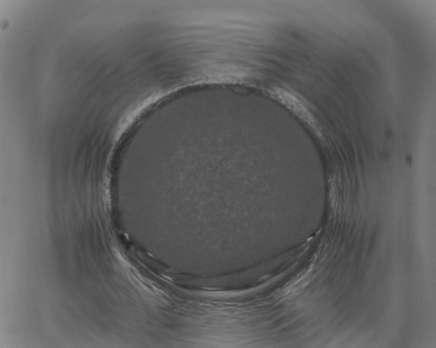 X0000062830676200601201613