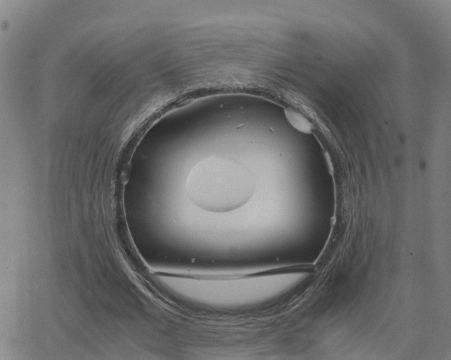 X0000062830677200601201613