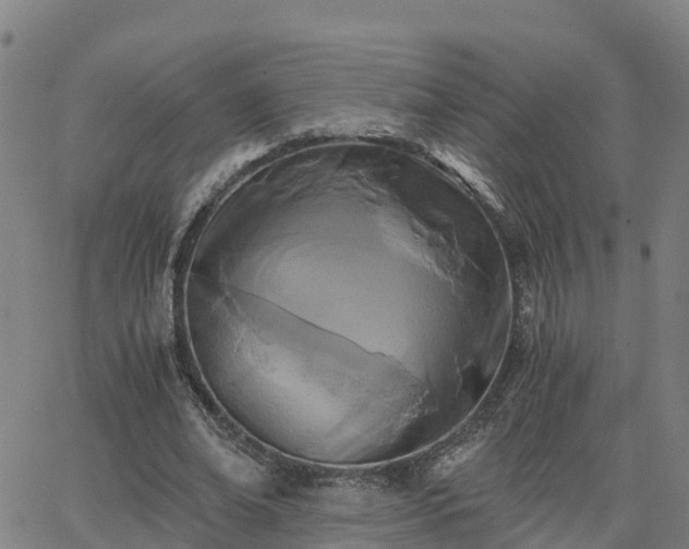 X0000062830678200601201613