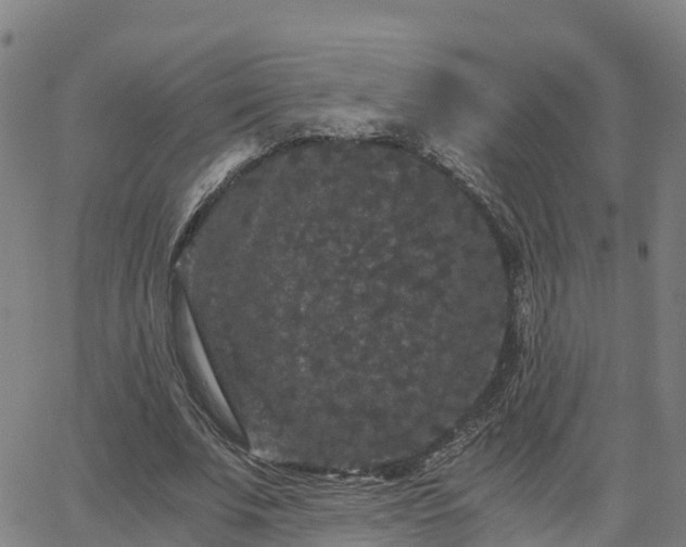 X0000062830679200601201613