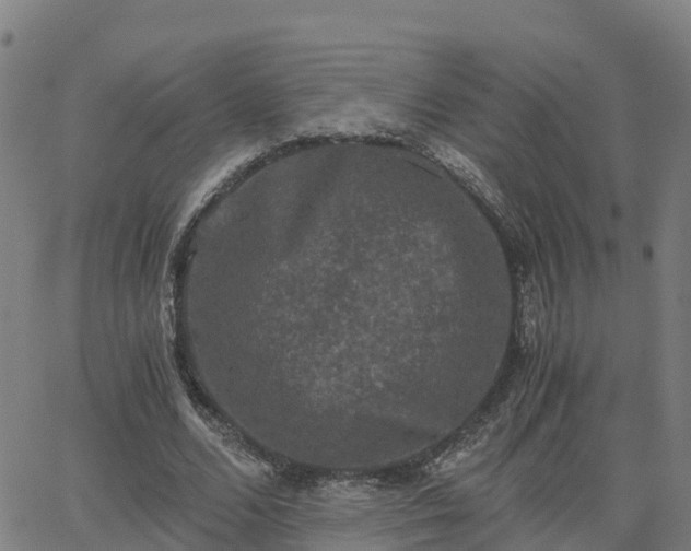 X0000062830680200601201613