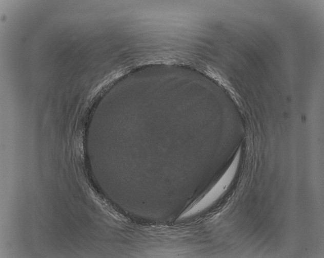 X0000062830681200601201613