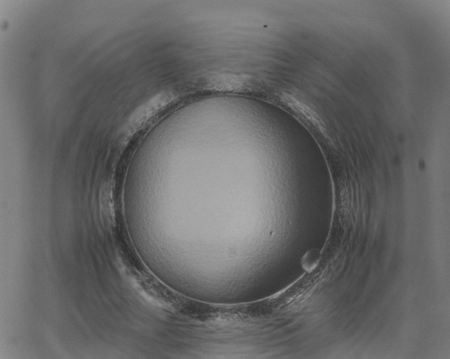 X0000062830682200601201613