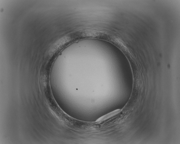 X0000062830683200601201613