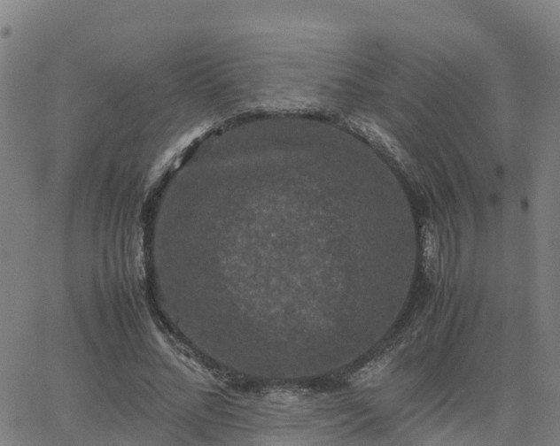 X0000062830684200601201613