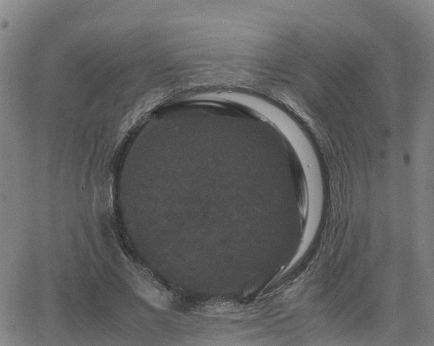 X0000062830685200601201613