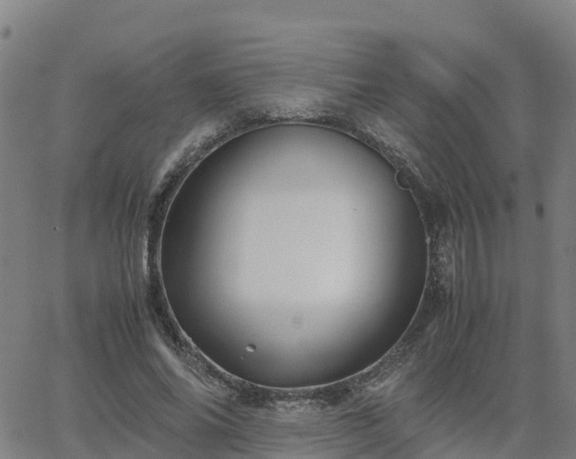 X0000062830686200601201613