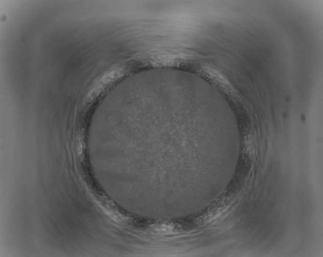 X0000062830687200601201613