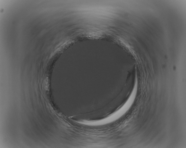 X0000062830689200601201613