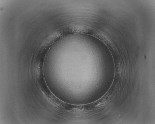 X0000062830690200601201613