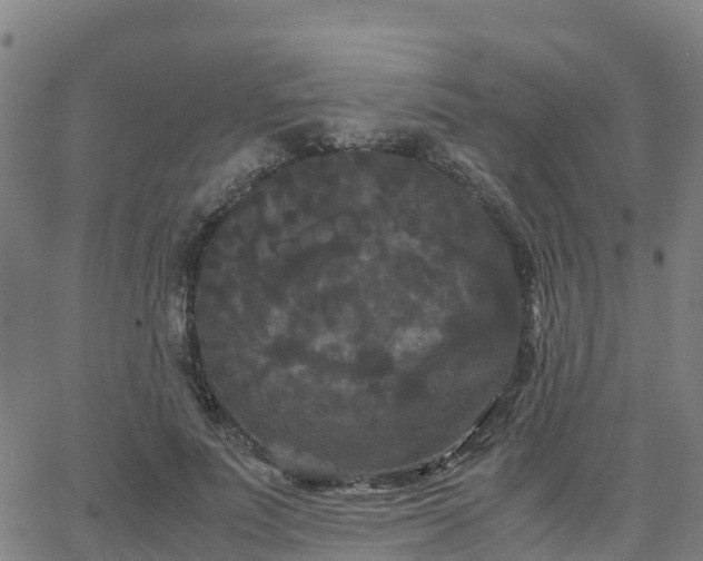 X0000062830691200601201613