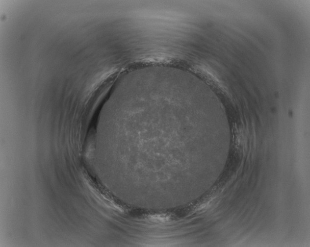 X0000062830692200601201613