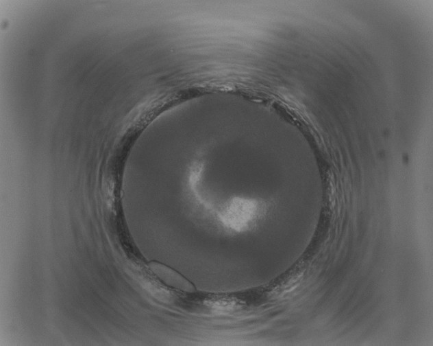 X0000062830693200601201613